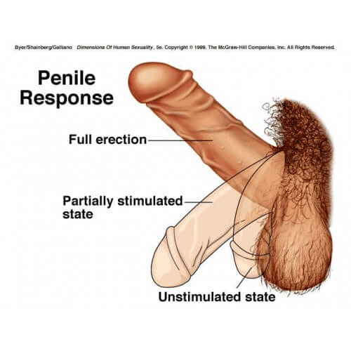 1718864297297016.gif maxman.gif